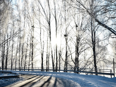 vehicle tracking on winter roads